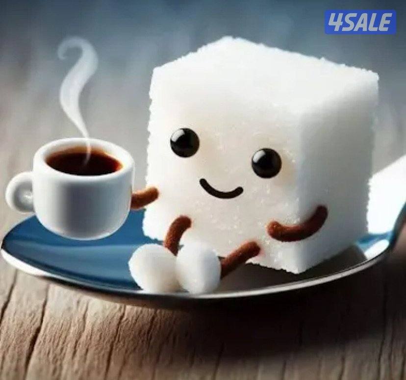 مدرس انجليزي بالعاشرة0