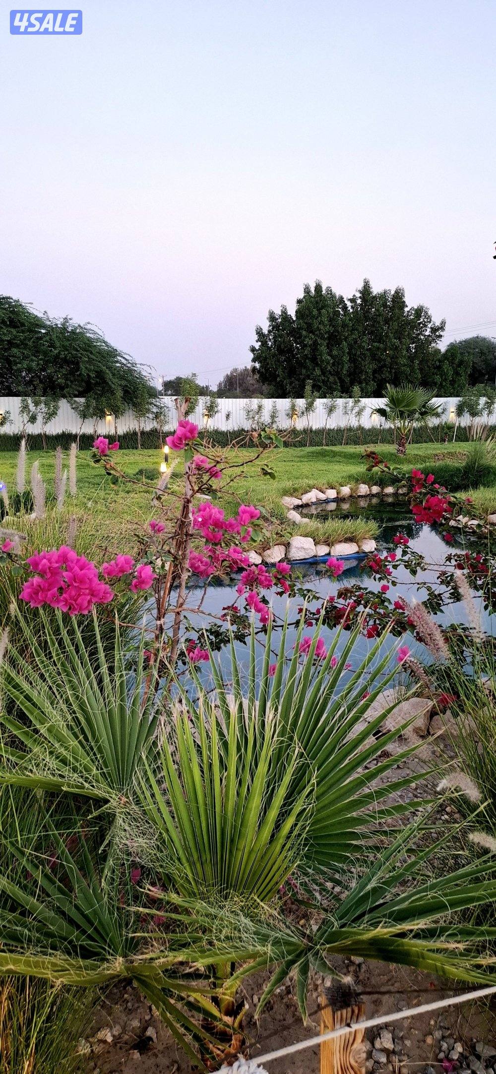 مزرعة A FARM  الوفره   طريق 30015