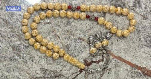 يسر وكوك وفاتوران6