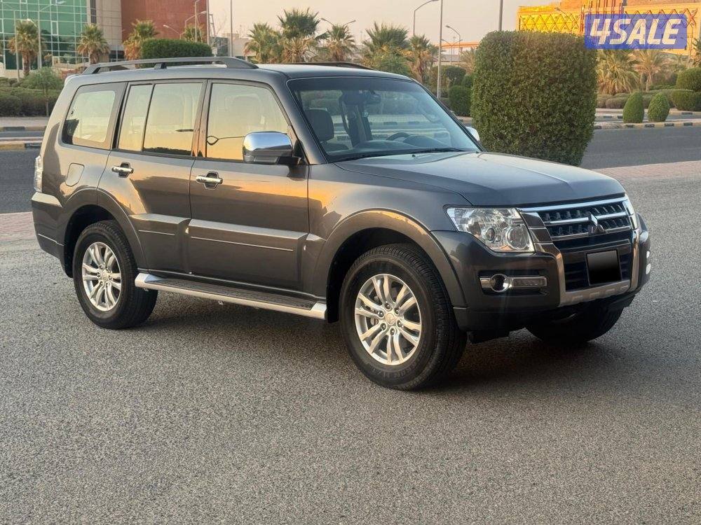 باجيرو 2022 ماشي 54 صبغ الوكاله2