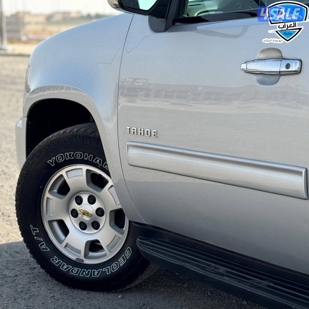 تاهو LT  صبغ الوكالة4