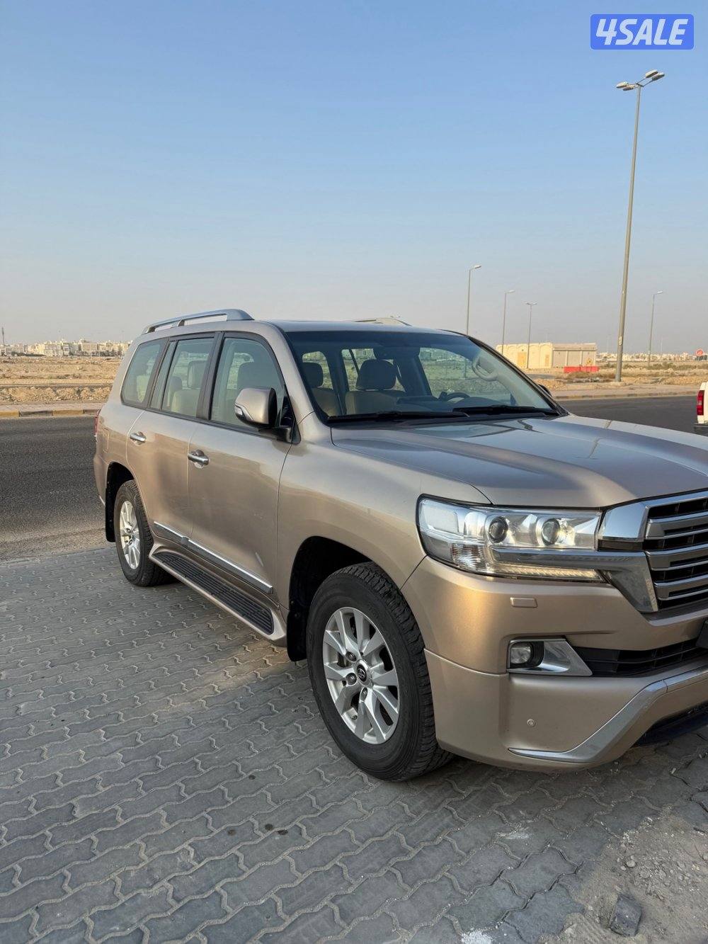 شرط الفحص صبغ الوكاله1