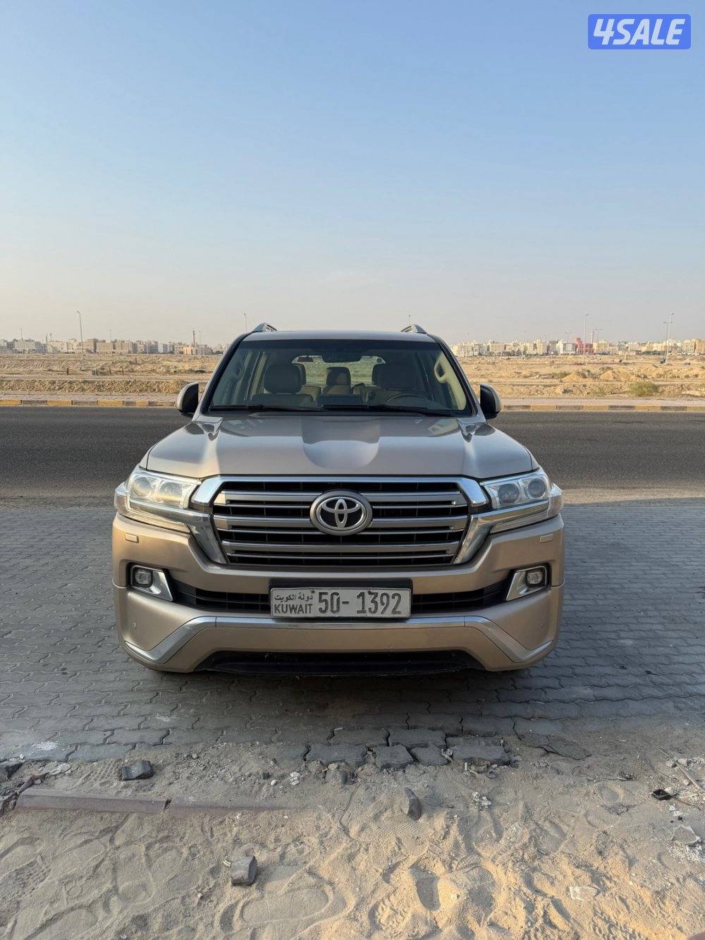 شرط الفحص صبغ الوكاله2