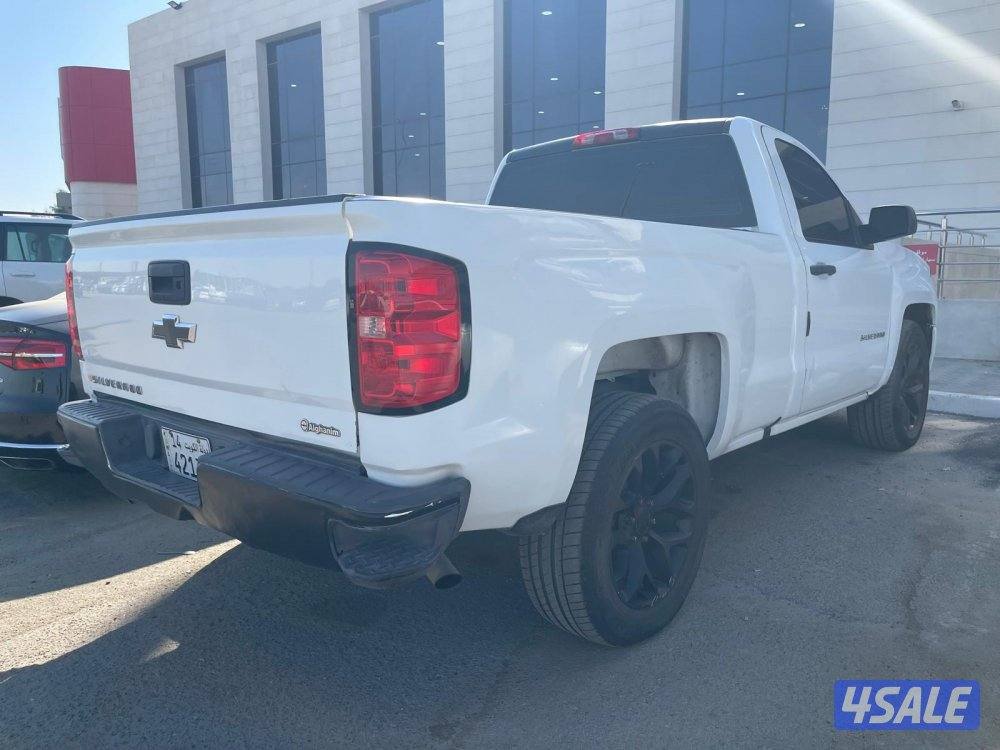 السرة قطعة 12