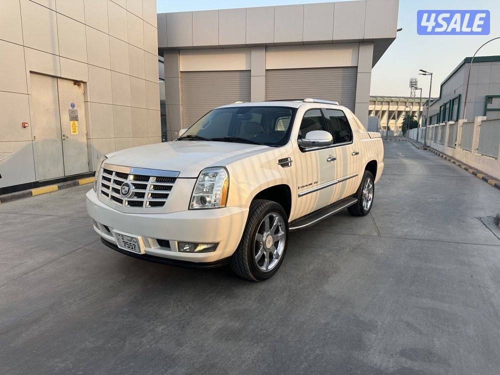 وانيت سكاليد1