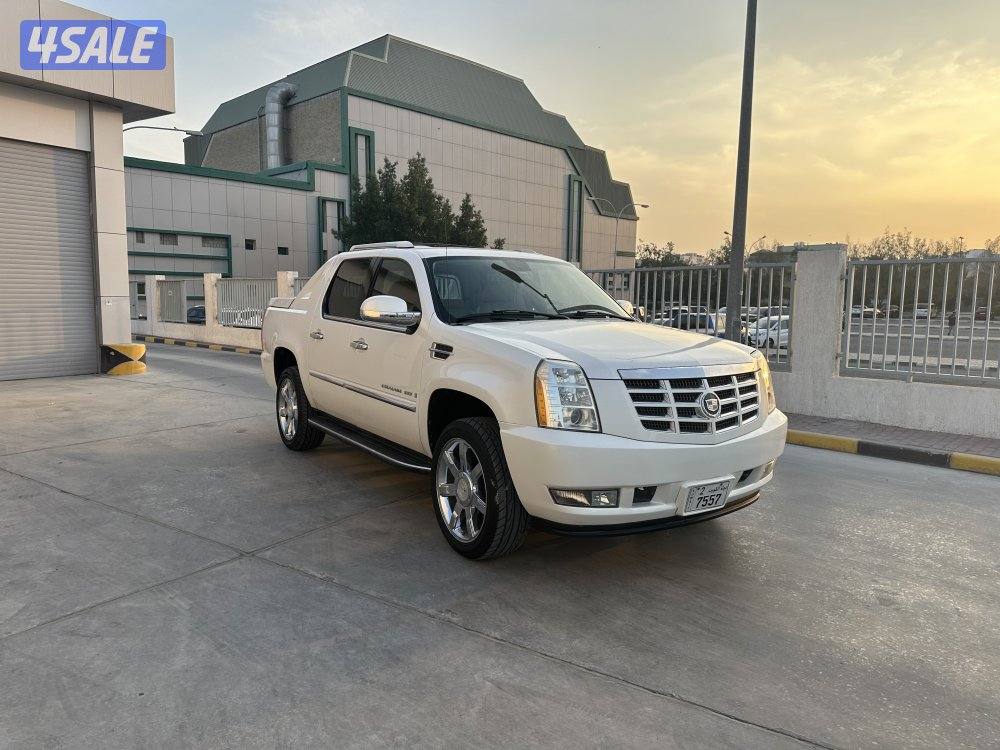 وانيت سكاليد2