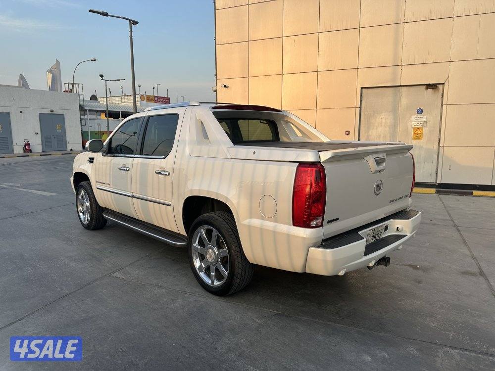 وانيت سكاليد3