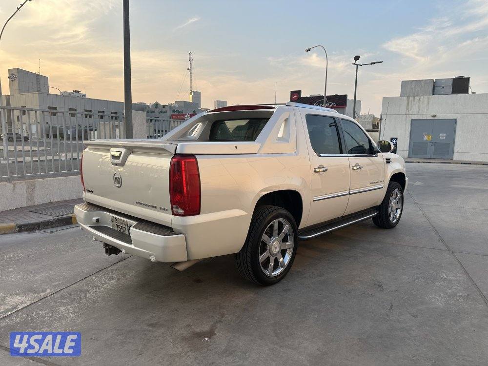 وانيت سكاليد4