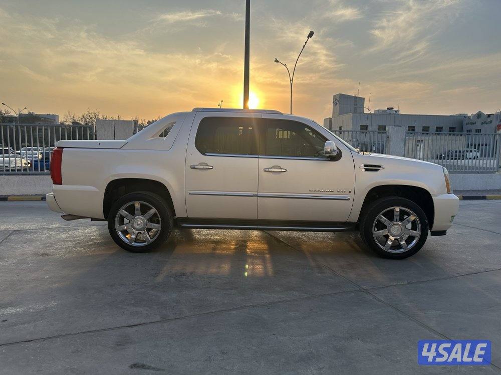 وانيت سكاليد6