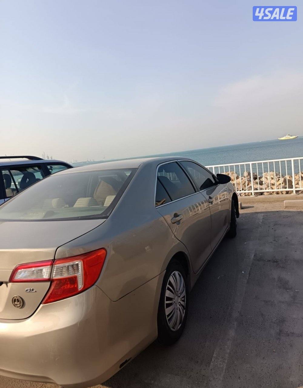 بيعة سريعة0