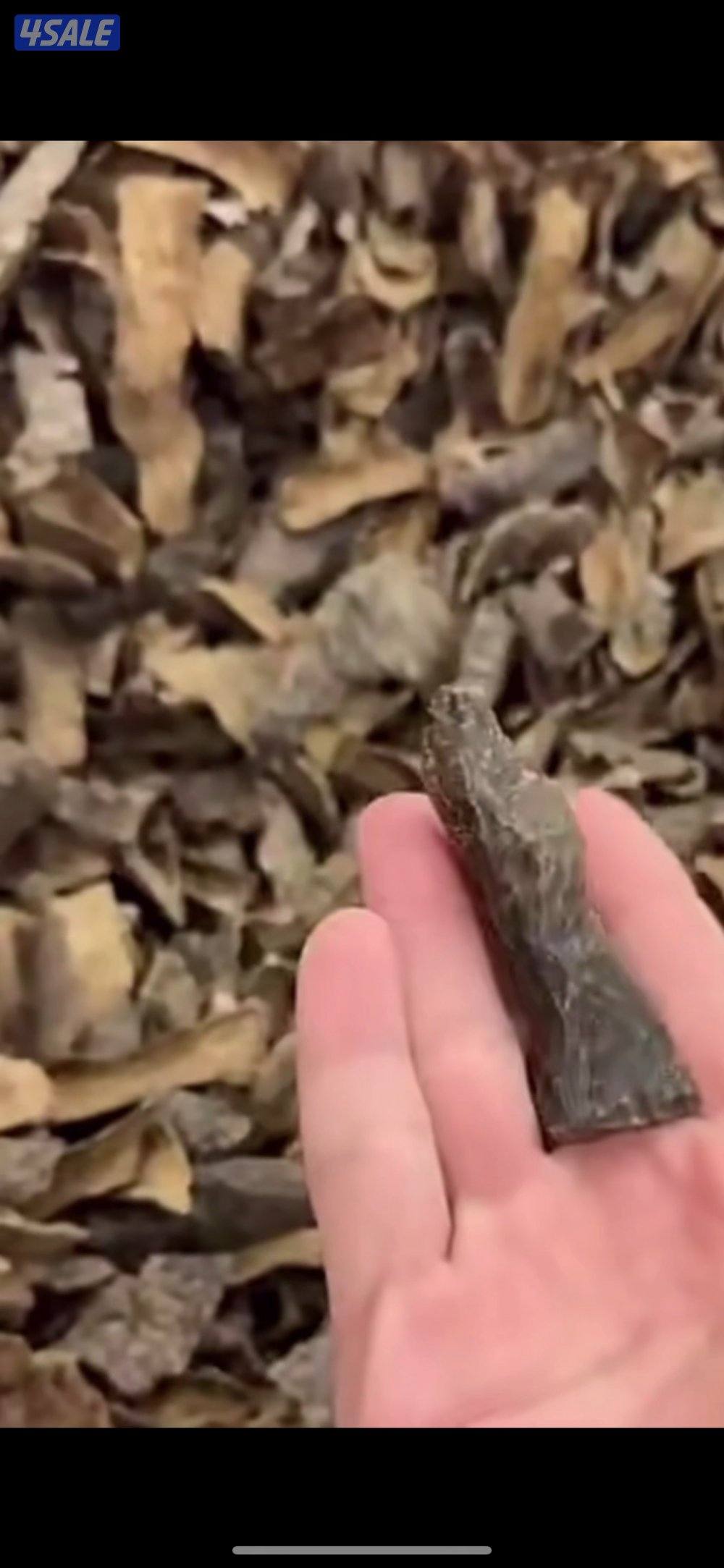 داو سمو للعود(زوايا فيتنامي ملكي )للاستخدام الشخصي ومناسبات4