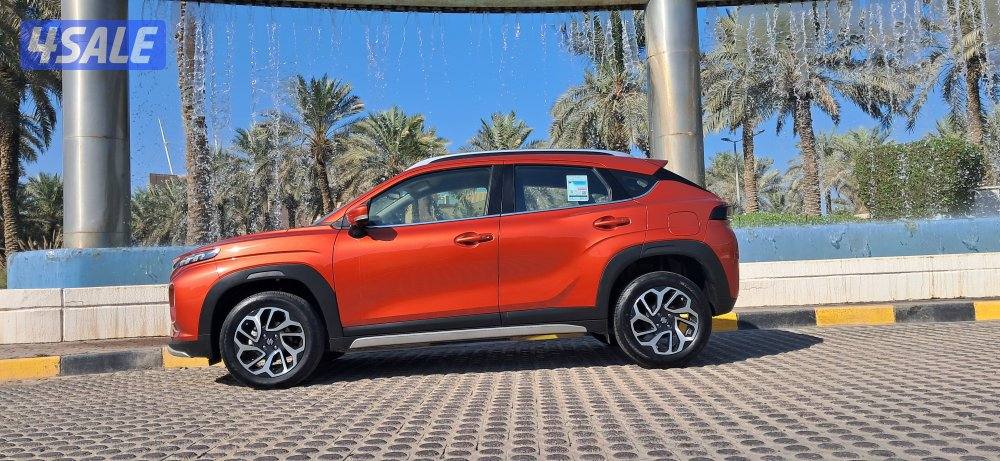 تحت الكفالة.صبغ وكالة1