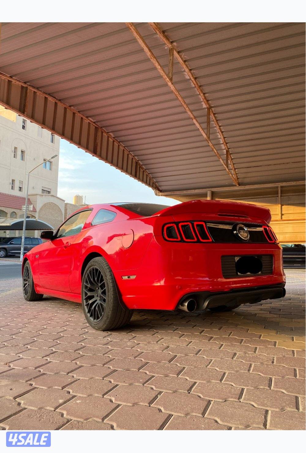 الشاصي جيد0