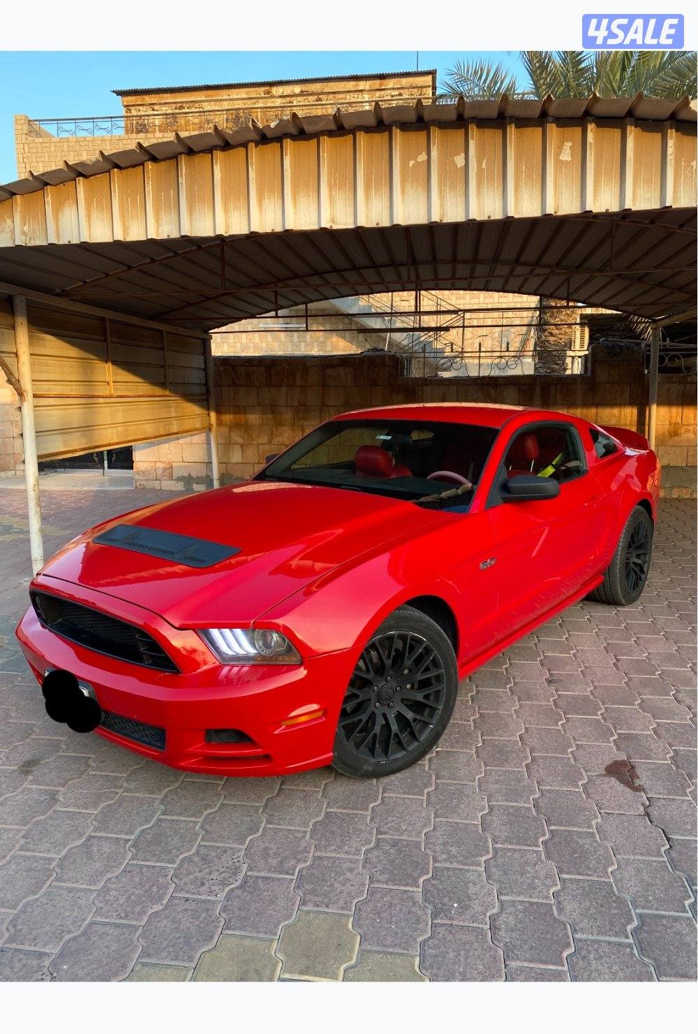 الشاصي جيد1