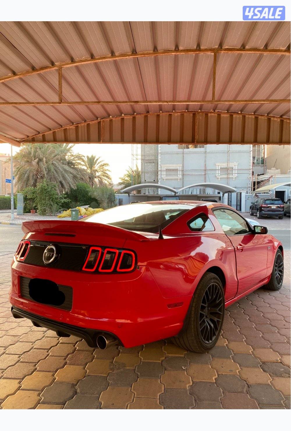 الشاصي جيد2