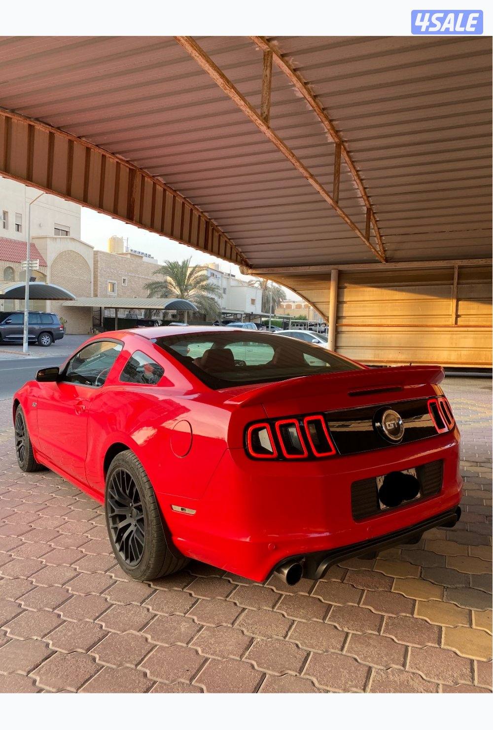 الشاصي جيد3