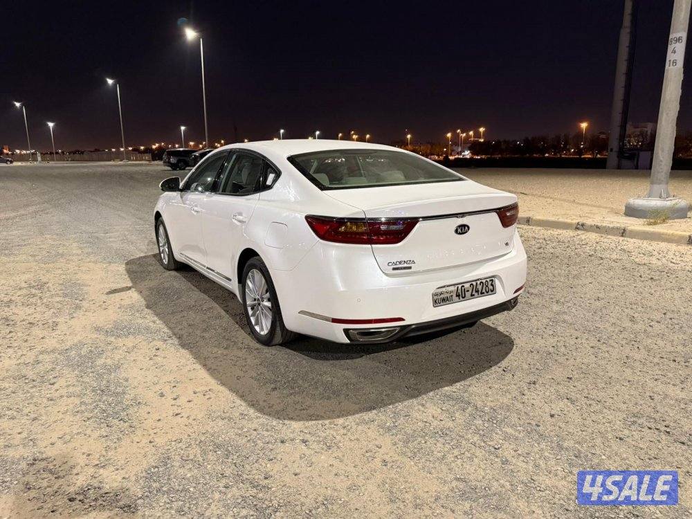 للمعاينة العارضية الصناعية5