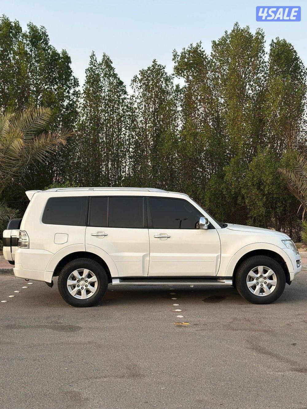 باجيرو صبغ وكاله1