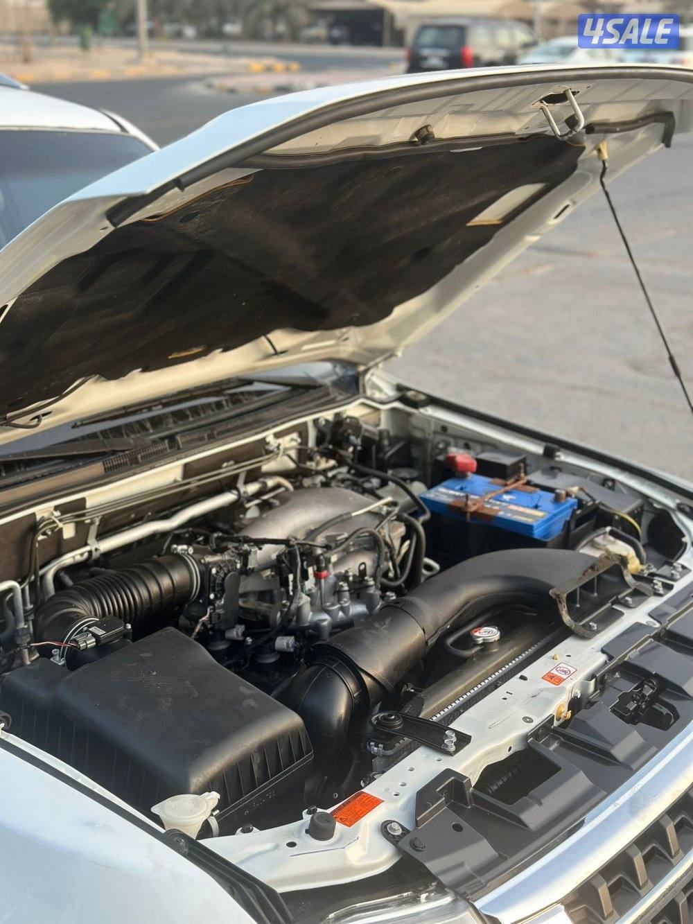 باجيرو صبغ وكاله2