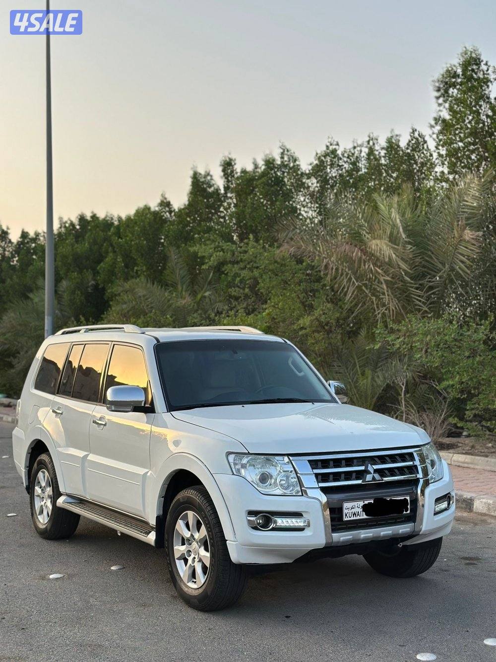 باجيرو صبغ وكاله3