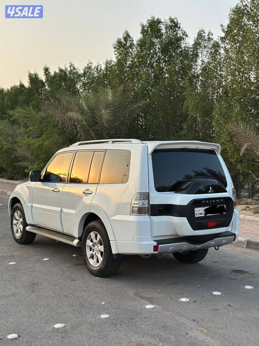 باجيرو صبغ وكاله6