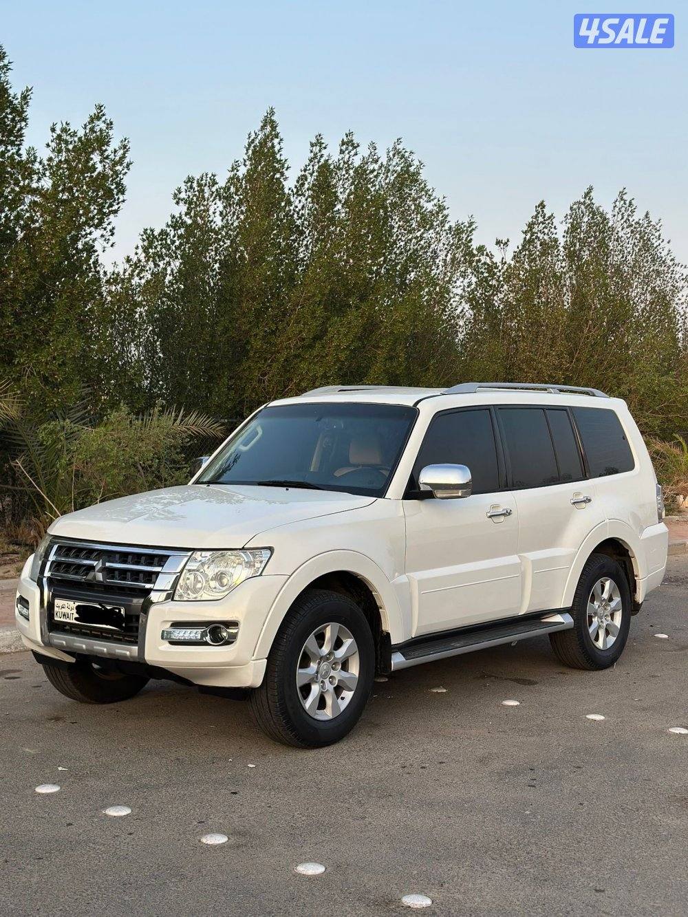 باجيرو صبغ وكاله8