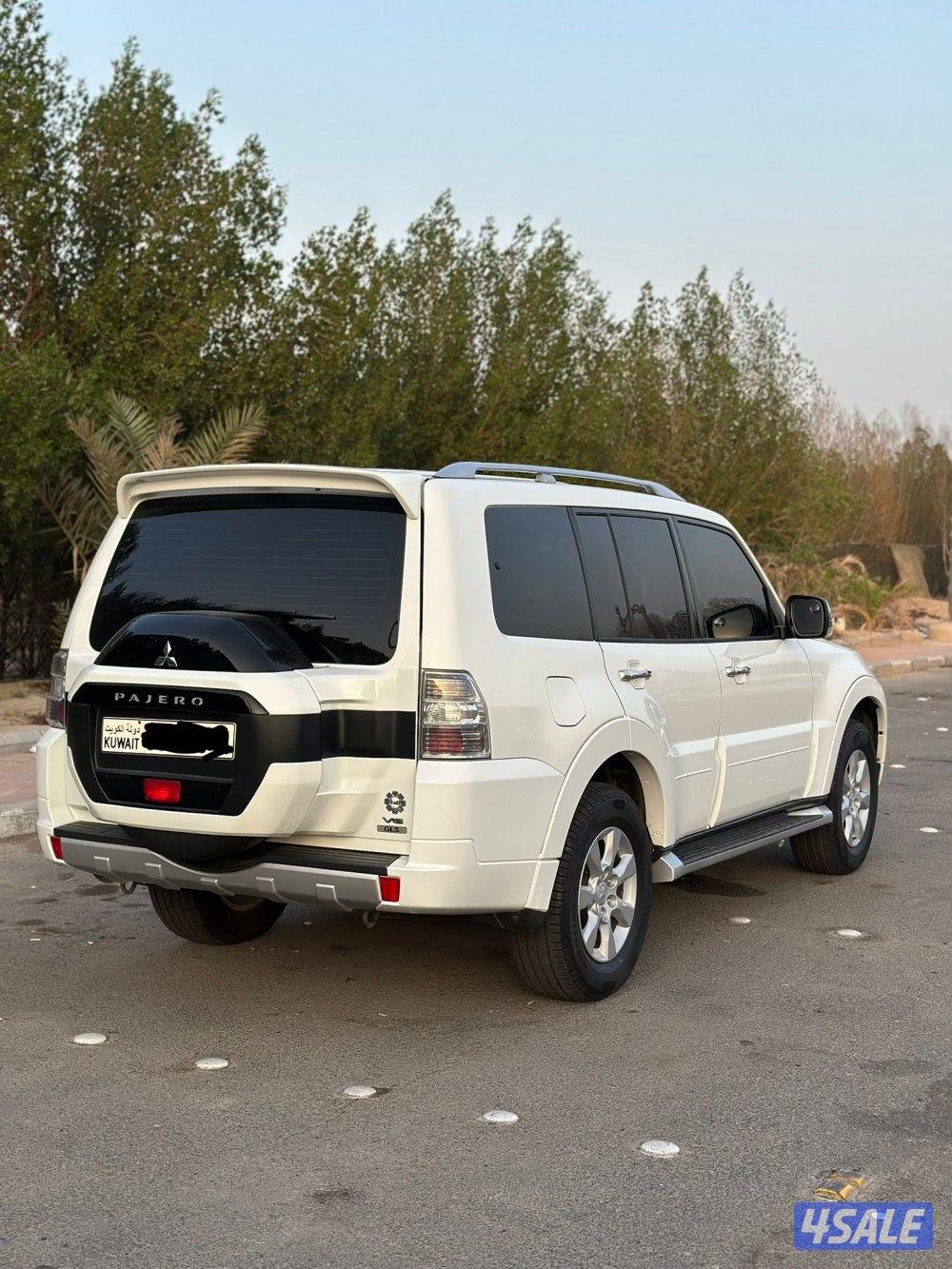 باجيرو صبغ وكاله10