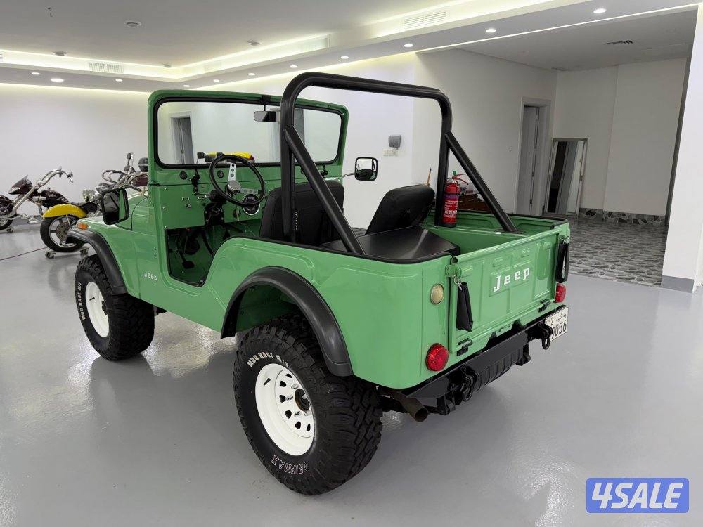 جييب ولز 19755