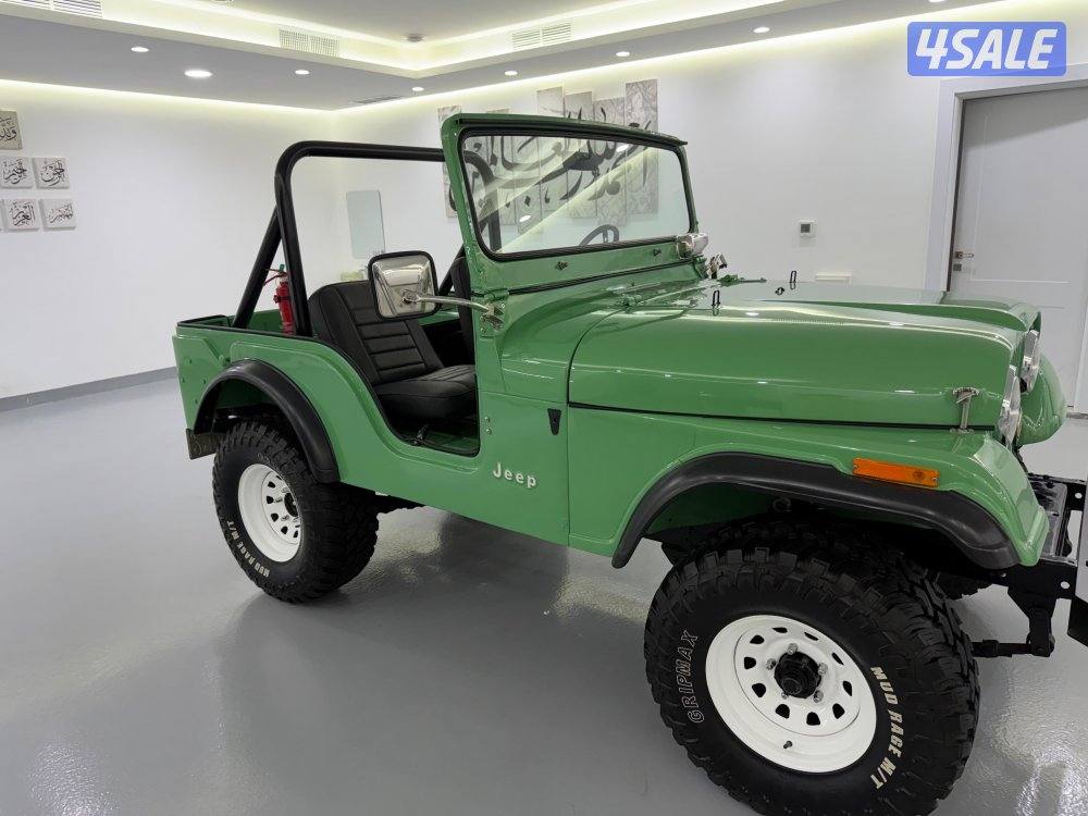 جييب ولز 19756