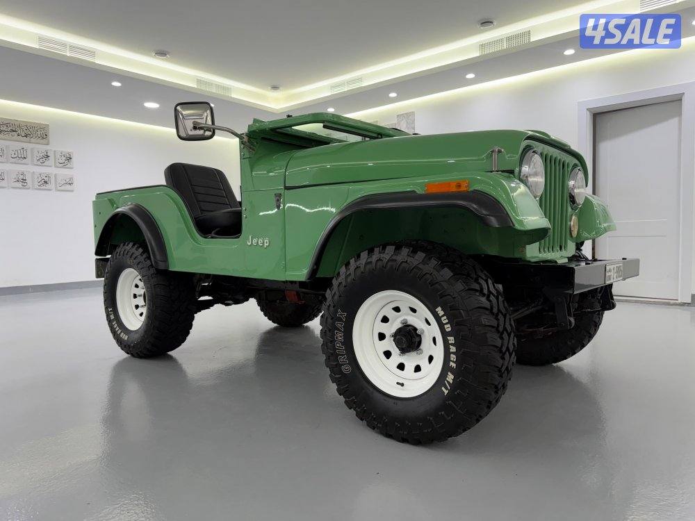 جييب ولز 19758