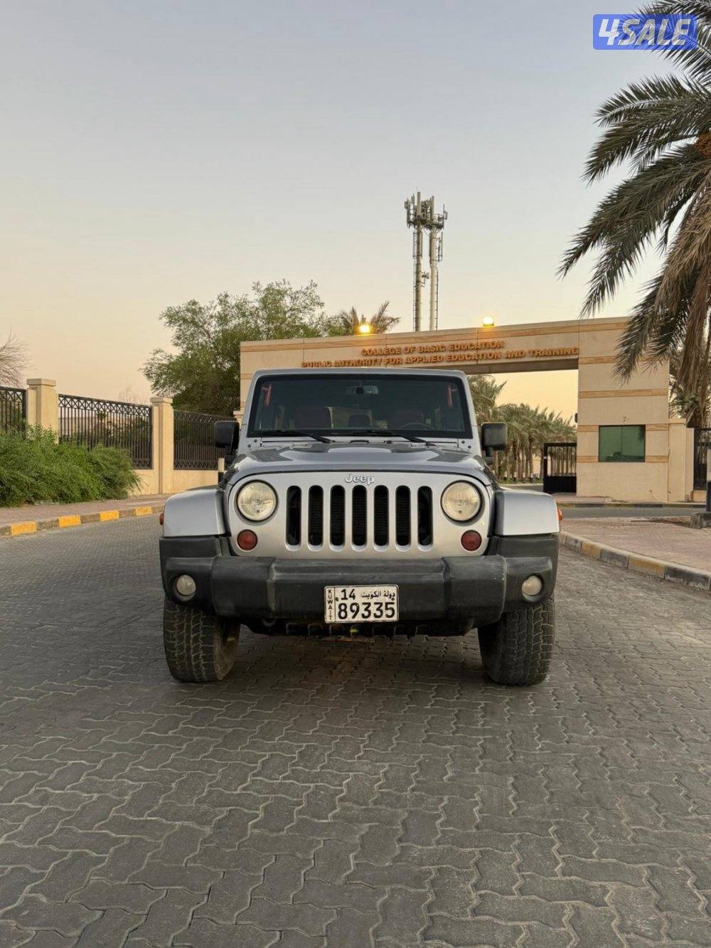 للمعاينة العارضية الحرفية2