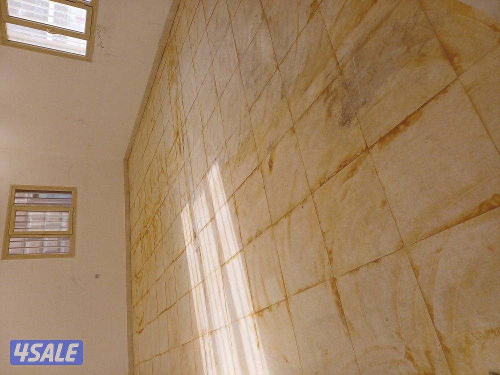 غسيل بالشامبو - تنظيف ناشف - غسيل سجاد برادي - اثاث - كنفات - شقق - فل6