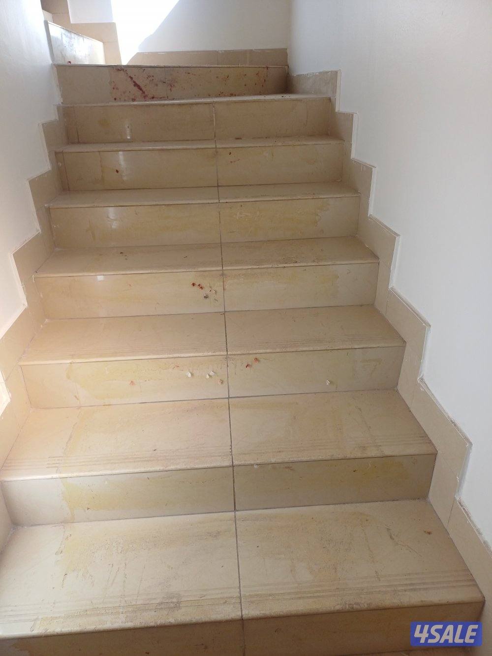 غسيل بالشامبو - تنظيف ناشف - غسيل سجاد برادي - اثاث - كنفات - شقق - فل7