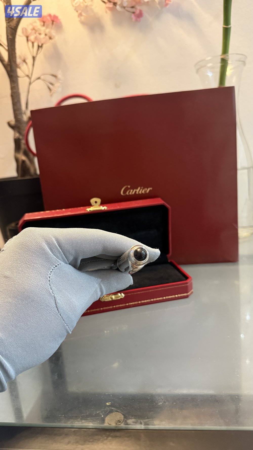 رودستر عين الصقر1