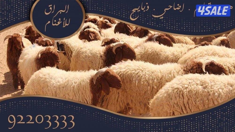 توصيل جميع مناطق الكويت0