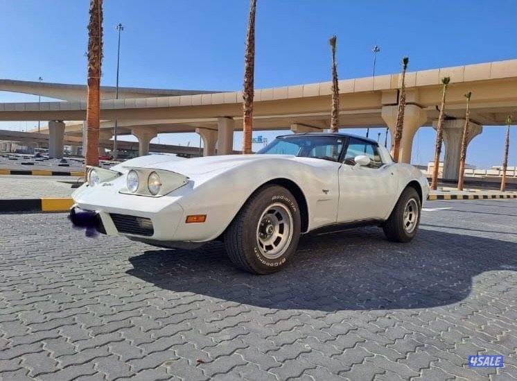 للبيع كورفيت ستنجري موديل 19790