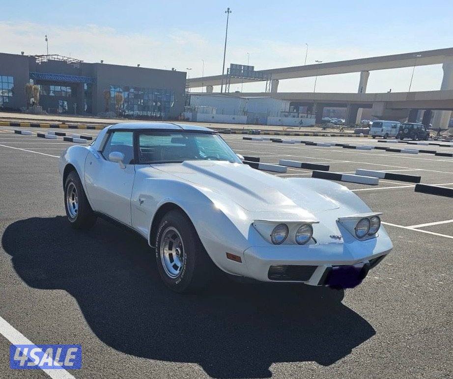 للبيع كورفيت ستنجري موديل 19793