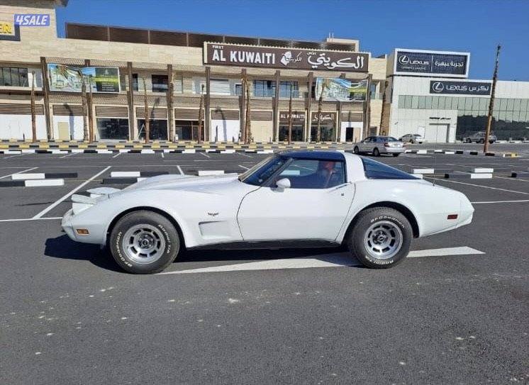 للبيع كورفيت ستنجري موديل 19798