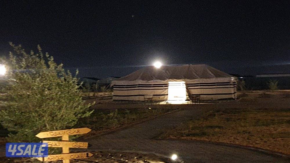 للايجار اليومي مزرعه بالعبدلي13