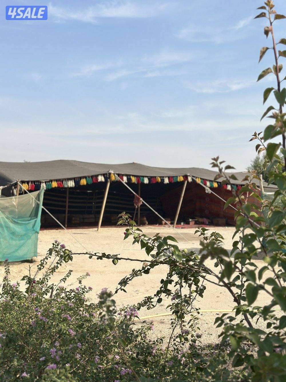 مزرعة الجابريه طريق 700 مكونه من 8 غرف ومسطحات خضراء مسبح مغطى0