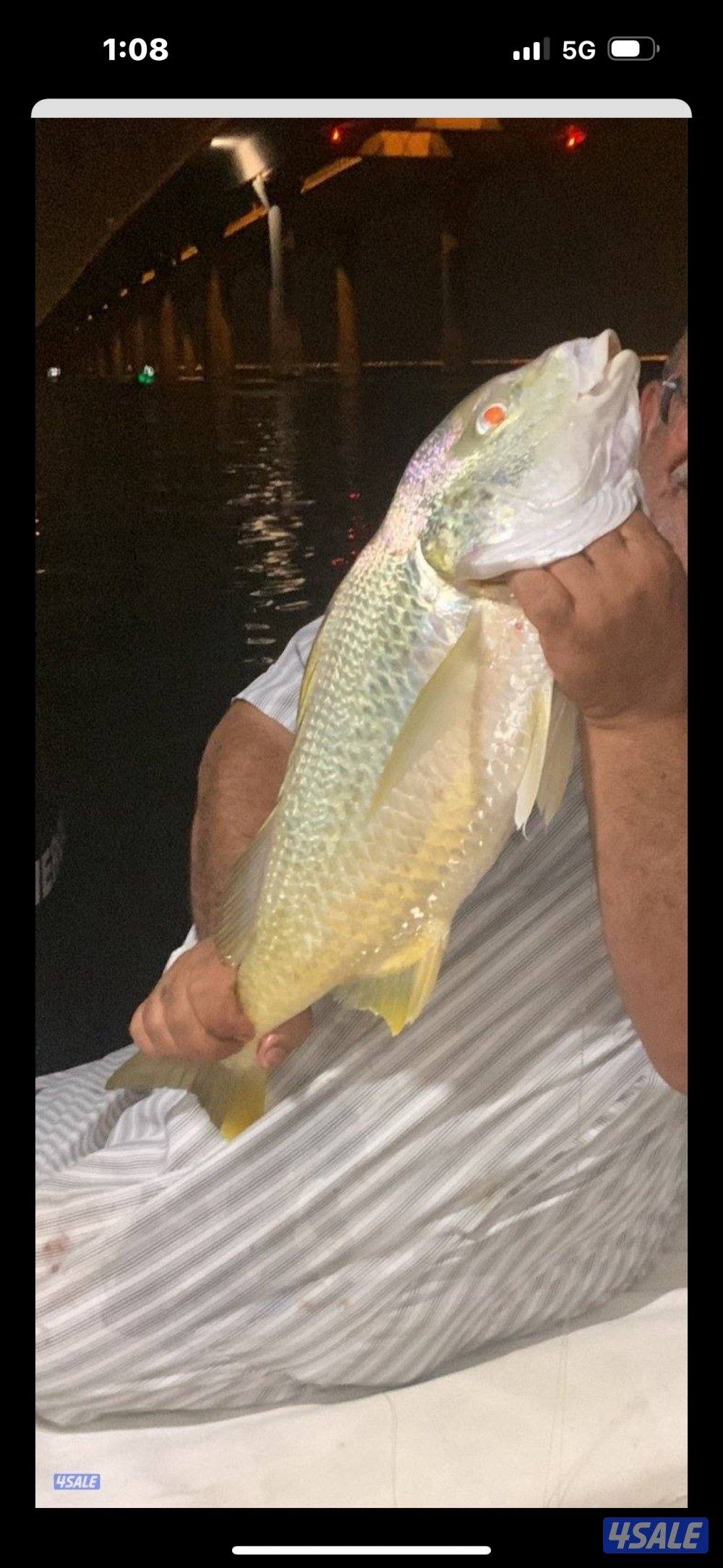 نوخذه كويتي رحلات حداق بالجون والجزر11