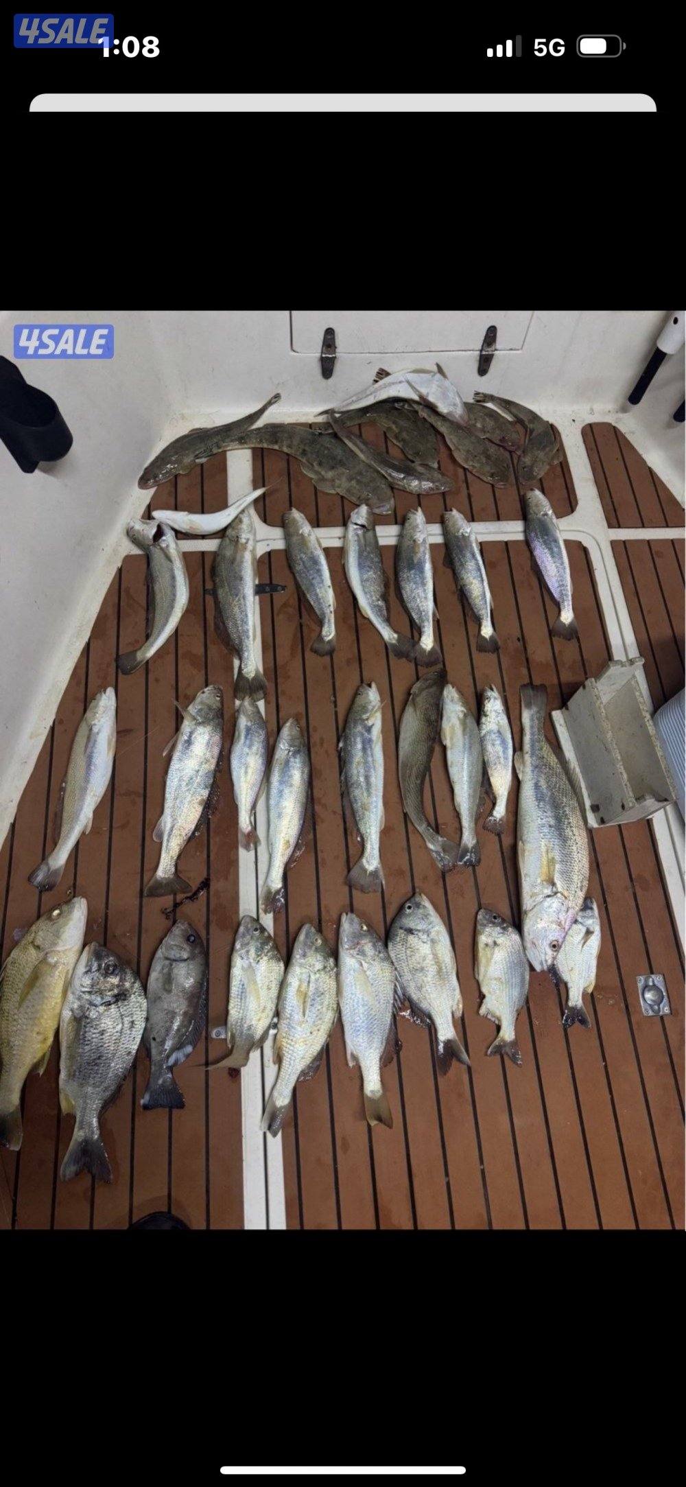 نوخذه كويتي رحلات حداق بالجون والجزر13