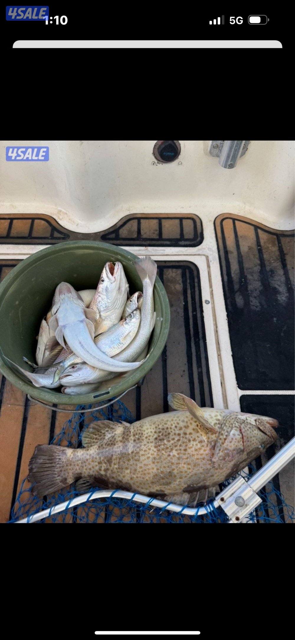 نوخذه كويتي رحلات حداق بالجون والجزر14