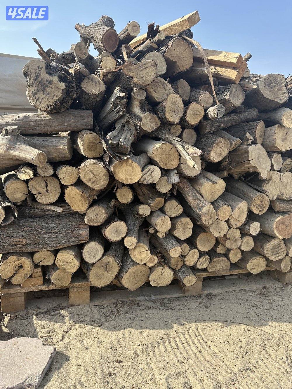 للبيع حطب شرط ناشف1
