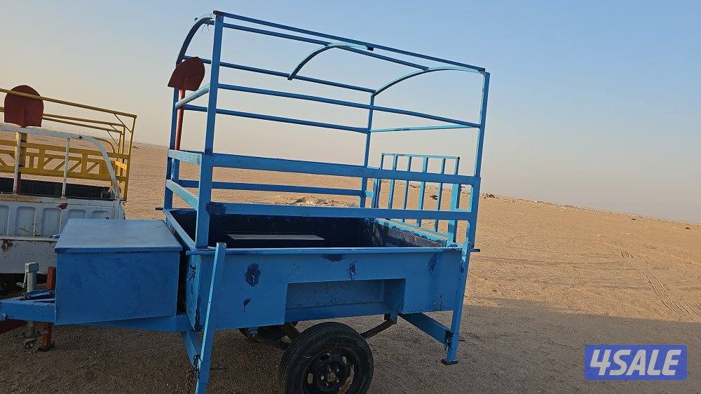 للبيع قلوص2