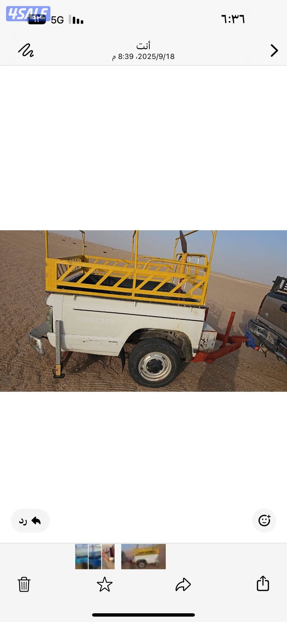 للبيع قلوص10