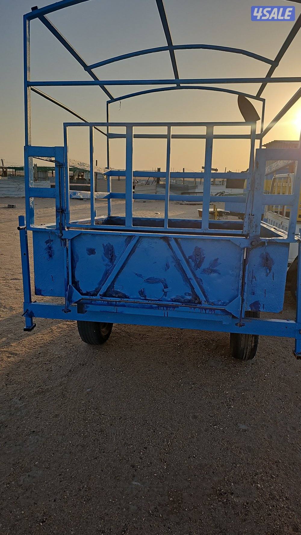 للبيع قلوص14