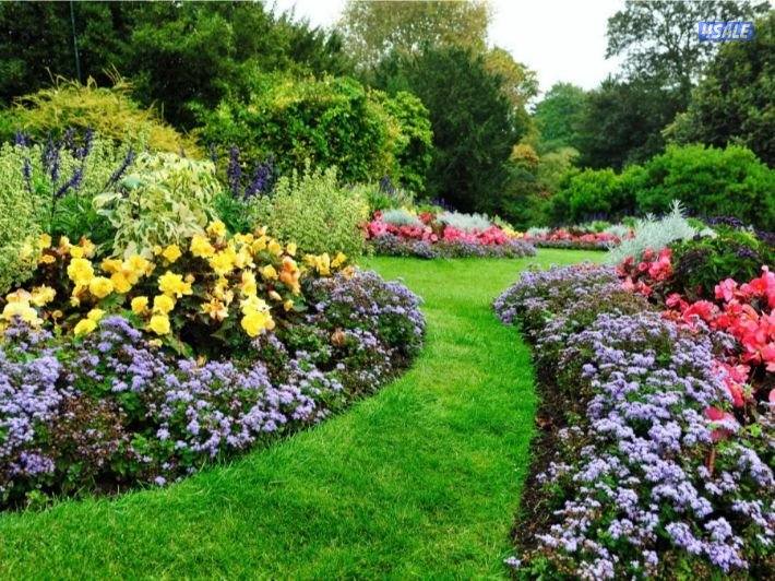 تنسيق وزراعة حدائق بالكامل0