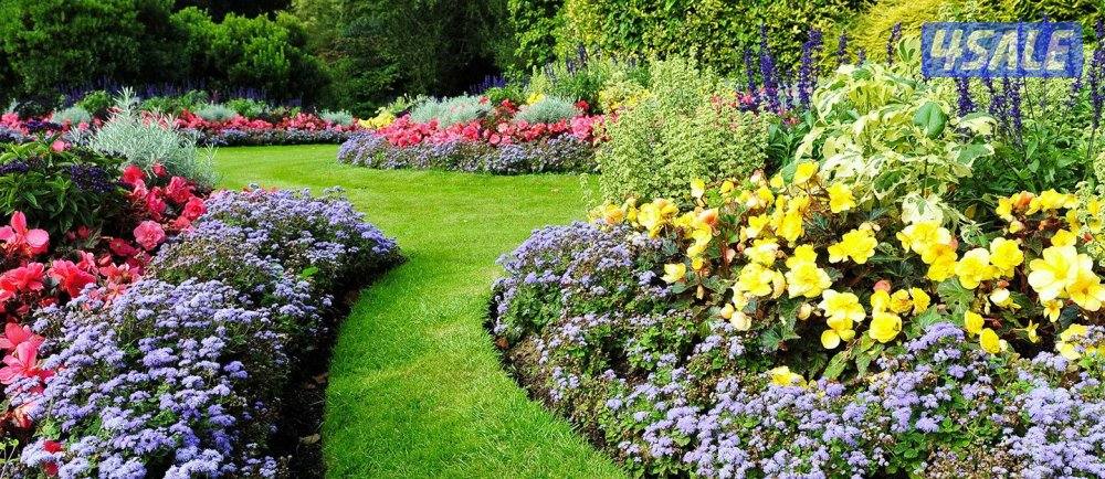 تنسيق وزراعة حدائق بالكامل1