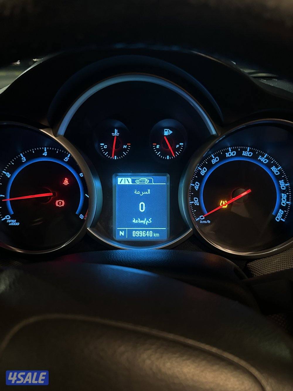 شفر كروز  ٢٠١٧2